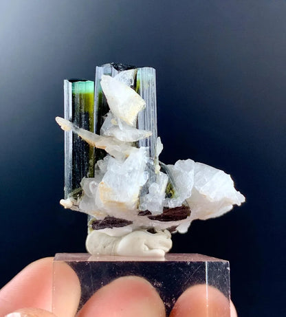 Bicolor Tourmaline on Matrix from Pakistan - 16 gram