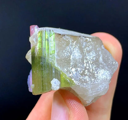 Bicolor Tourmaline Crystal on Quartz from Afghanistan - 23 Gram