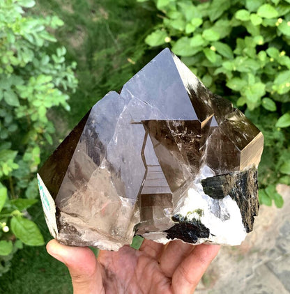 Collection Grade Smoky Quartz Specimen from Pakistan - 2278 Grams