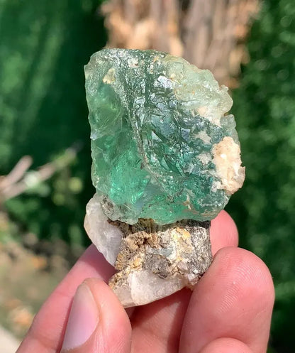 Green Fluorite Crystal from Pakistan - Gram