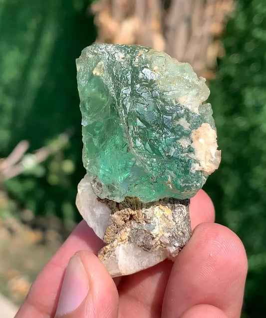 Green Fluorite Crystal from Pakistan - Gram
