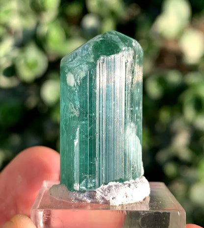 Paraiba Tourmaline Crystal from Afghanistan - 16 Gram