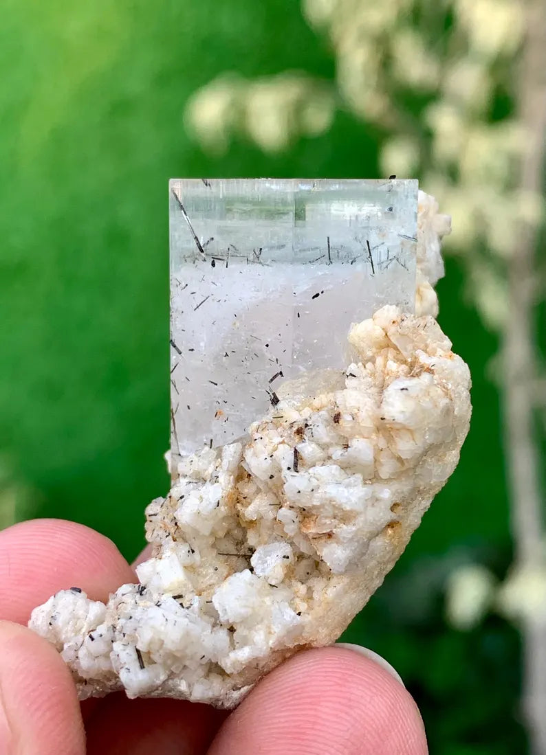 Bicolor Aquamorganite Crystal with Tourmalines and Feldspar from Pakistan - 20 Gram