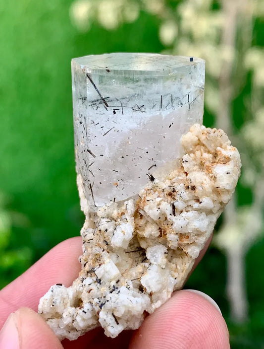 Bicolor Aquamorganite Crystal with Tourmalines and Feldspar from Pakistan - 20 Gram
