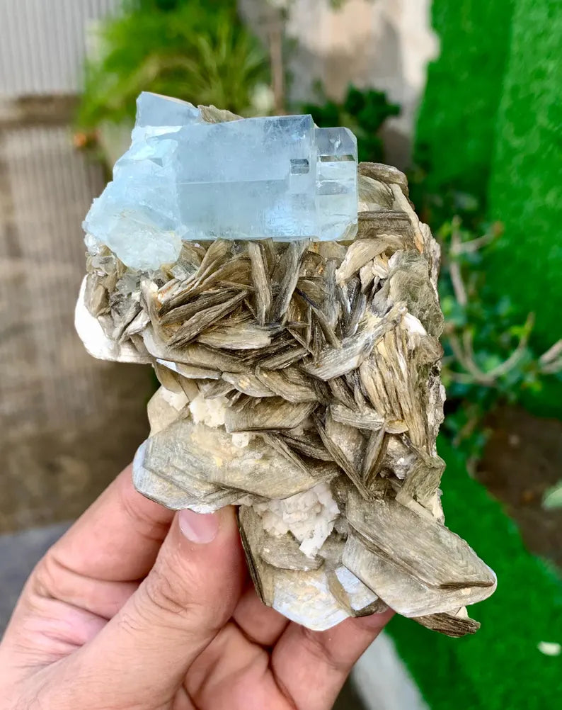 Sky Blue Aquamarine Crystal on Mica from Pakistan - 340 Grams