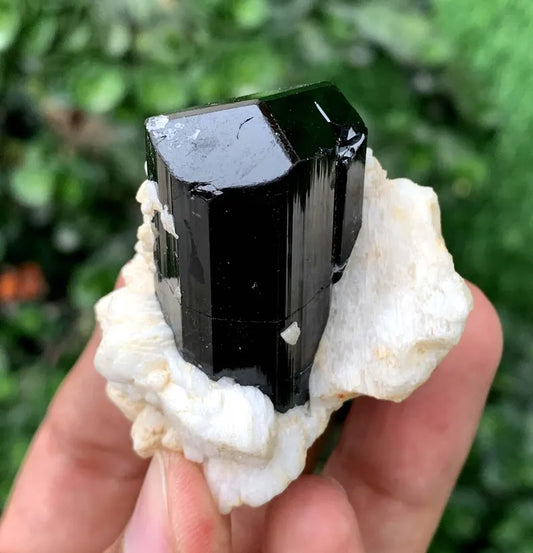 Black Tourmaline Crystal on Albite from Pakistan -  61 Gram