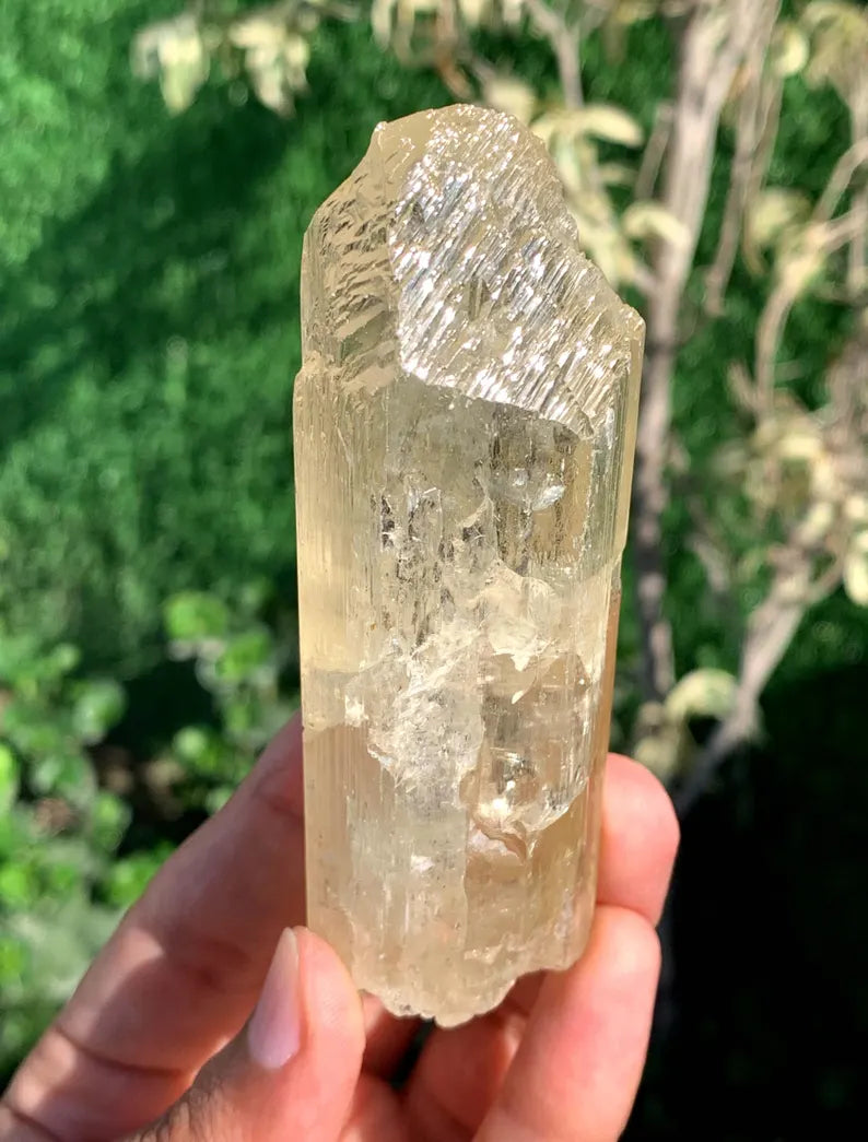 Fluorescent Yellow Triphane Kunzite from Afghanistan - 204 Gram