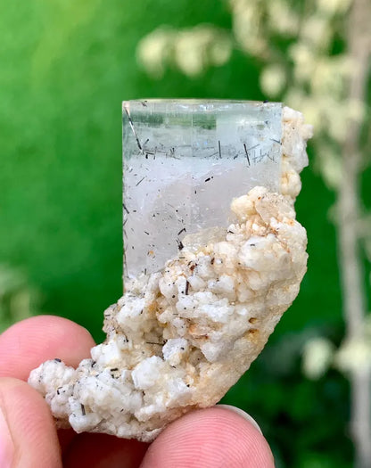 Bicolor Aquamorganite Crystal with Tourmalines and Feldspar from Pakistan - 20 Gram