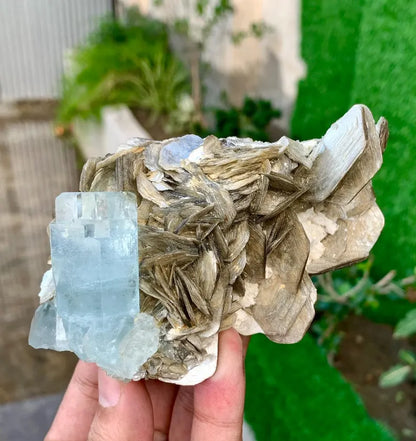 Sky Blue Aquamarine Crystal on Mica from Pakistan - 340 Grams