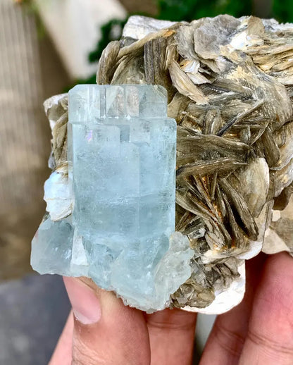 Sky Blue Aquamarine Crystal on Mica from Pakistan - 340 Grams