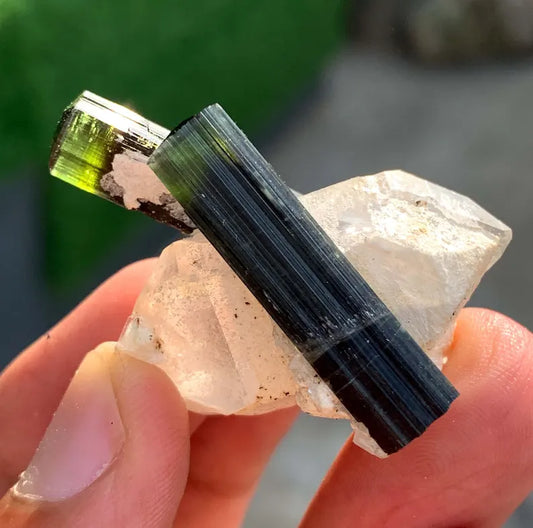 Green Cap Tourmaline Crystals on Quartz from Pakistan - 75.00 Carats