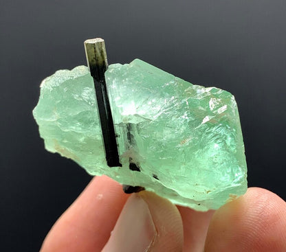 Green Cap Tourmaline on Green Fluorite from Pakistan - 23 Gram