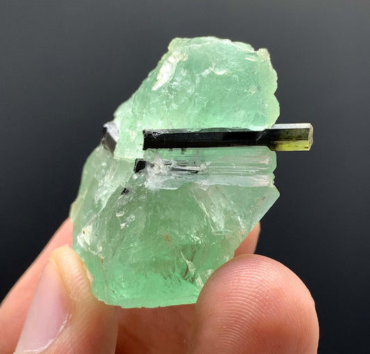 Green Cap Tourmaline on Green Fluorite from Pakistan - 23 Gram