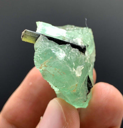 Green Cap Tourmaline on Green Fluorite from Pakistan - 23 Gram