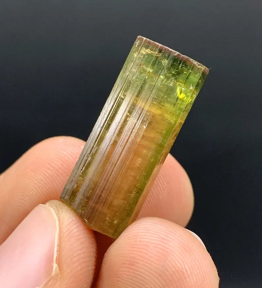 Pink Cap Watermelon Tourmaline Crystal from Afghanistan - 23.50 Carats