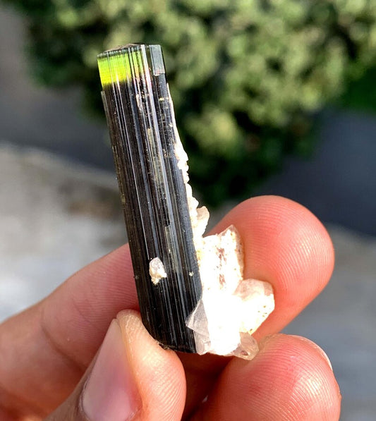 Green Cap Tourmaline Crystal with Quartz from Pakistan - 33.70 Carats