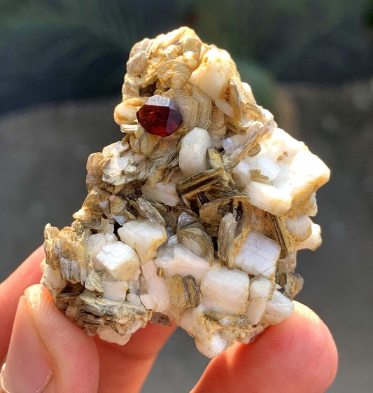 Red Garnet Crystal on Mica and Feldspar from Pakistan - 26 Gram