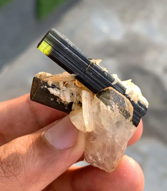 Green Cap Tourmaline Crystals with Quartz and Albite from Pakistan - 95.00 Carats