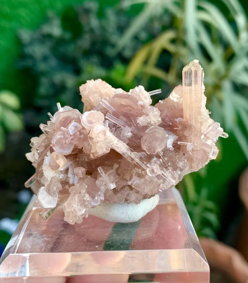 Orange Pink Tourmaline Cluster on Lepidolite from Afghanistan - 59 Gram