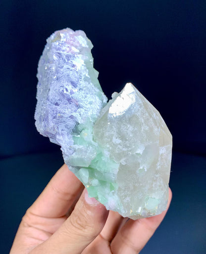 Bicolor Tourmaline Cluster on Quartz from Afghanitan - 350 Gram