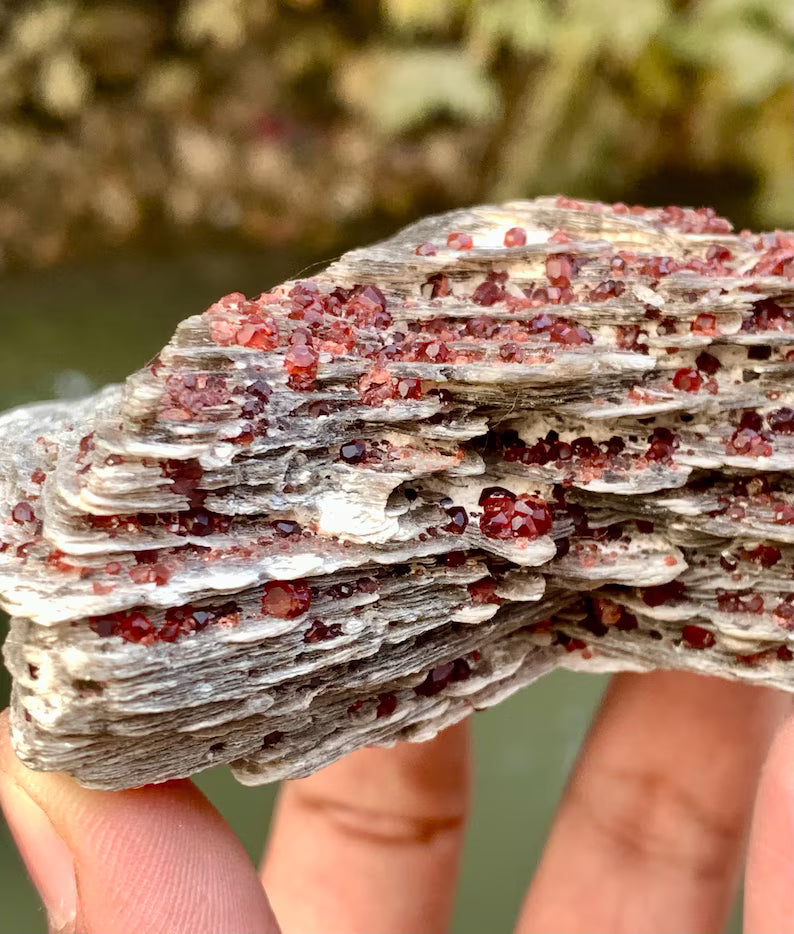 Red Spessartite Garnet Crystals on Mica from Pakistan - 250 Gram