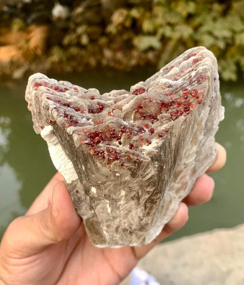 Red Spessartite Garnet Crystals on Mica from Pakistan - 250 Gram