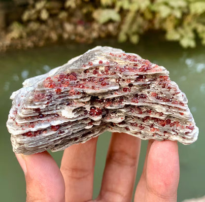 Red Spessartite Garnet Crystals on Mica from Pakistan - 250 Gram
