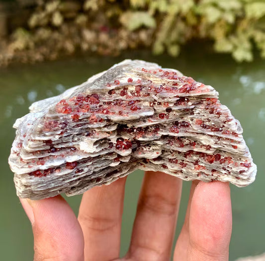 Red Spessartite Garnet Crystals on Mica from Pakistan - 250 Gram