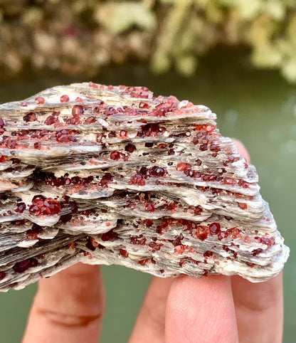 Red Spessartite Garnet Crystals on Mica from Pakistan - 250 Gram