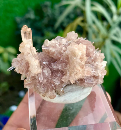 Orange Pink Tourmaline Cluster on Lepidolite from Afghanistan - 59 Gram