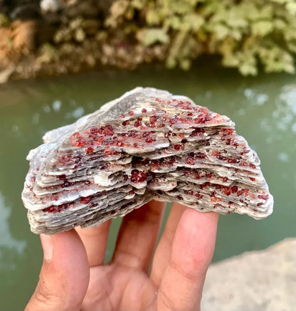 Red Spessartite Garnet Crystals on Mica from Pakistan - 250 Gram