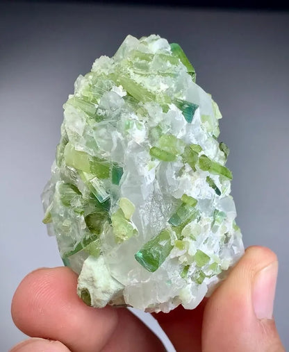 Blue Green Tourmaline  Crystals on Quartz from Afghanistan - 119 Gram