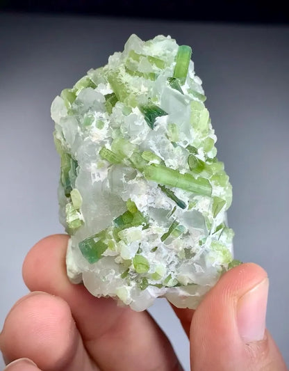 Blue Green Tourmaline  Crystals on Quartz from Afghanistan - 119 Gram