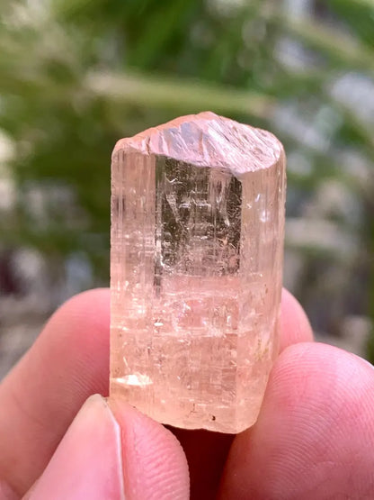 NAtural Imperial Katlang Topaz Crysstal from Pakistan - 53.00 Carats