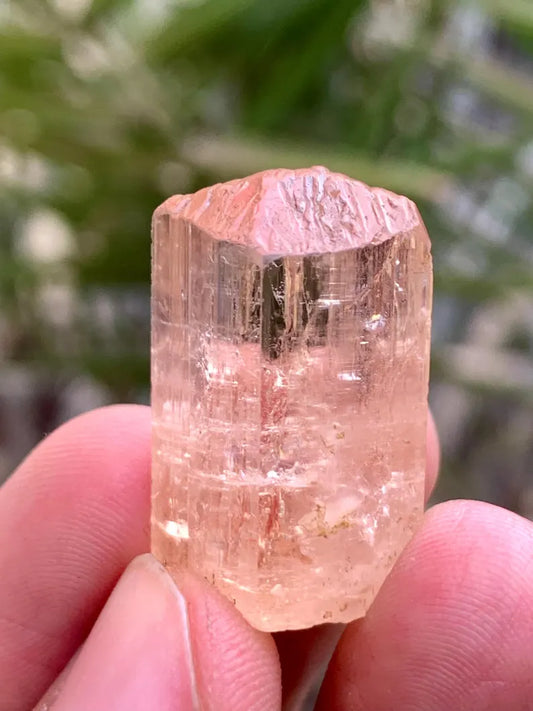 NAtural Imperial Katlang Topaz Crysstal from Pakistan - 53.00 Carats
