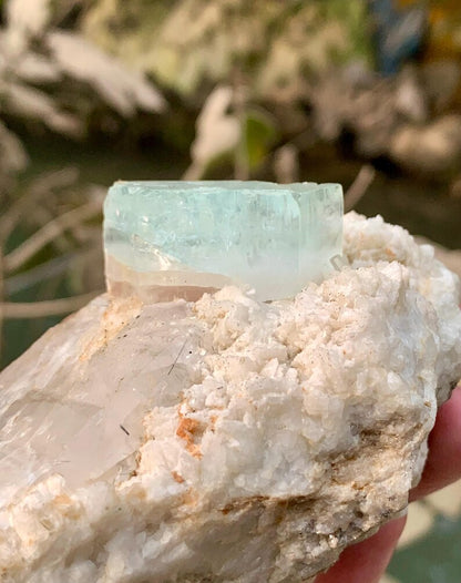 Bicolor Aquamorganite Crystal on QUartz from Pakistan - 366 Gram