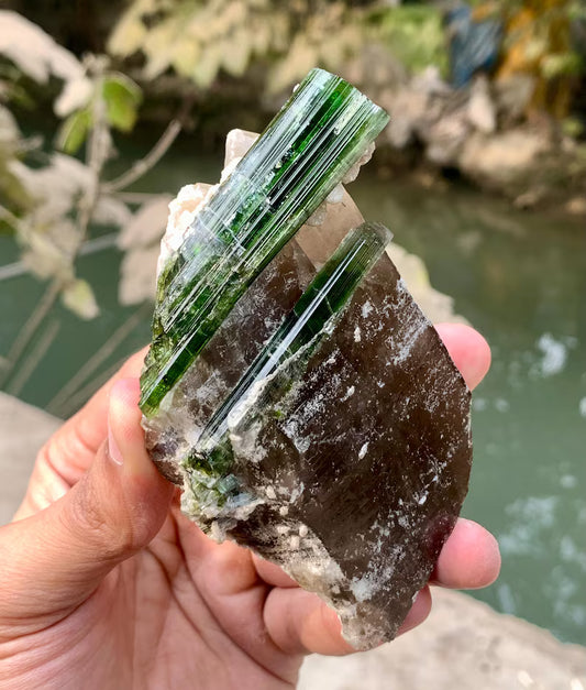 Green Tourmaline Crystals on Quartz from Afghanistan - 239 Gram