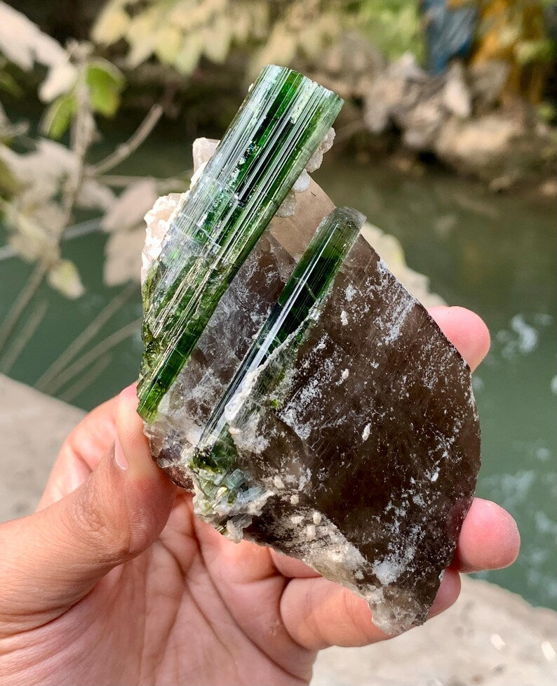 Green Tourmaline Crystals on Quartz from Afghanistan - 239 Gram