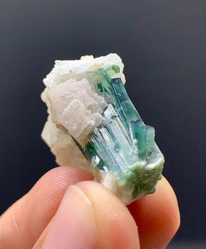 Indicolite Blue Tourmalines on Quartz from Afghanistan - 08 Grams