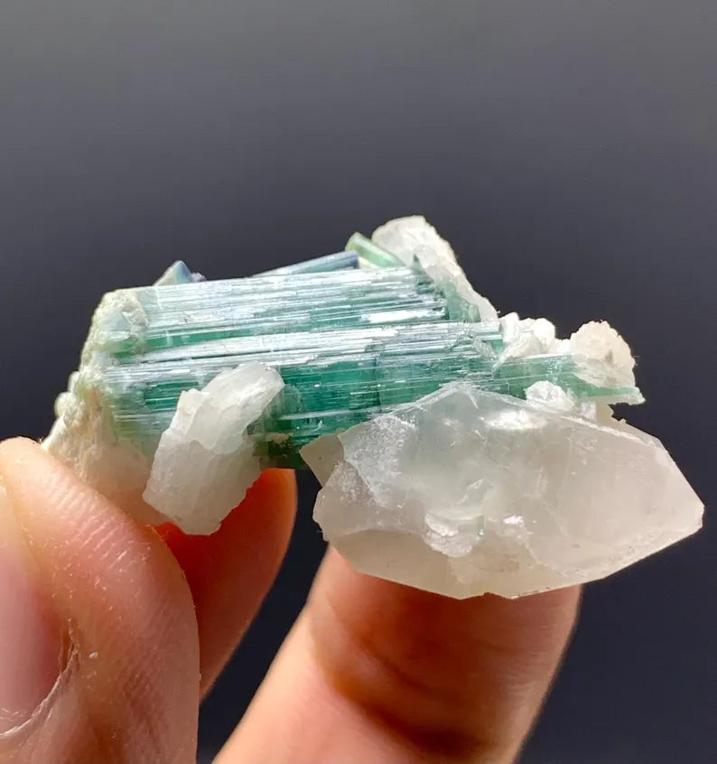 Indicolite Blue Tourmalines on Quartz from Afghanistan - 08 Grams