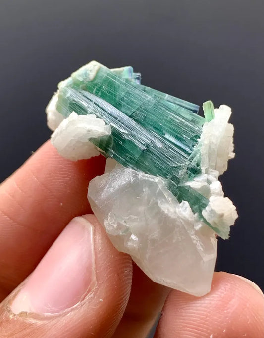 Indicolite Blue Tourmalines on Quartz from Afghanistan - 08 Grams