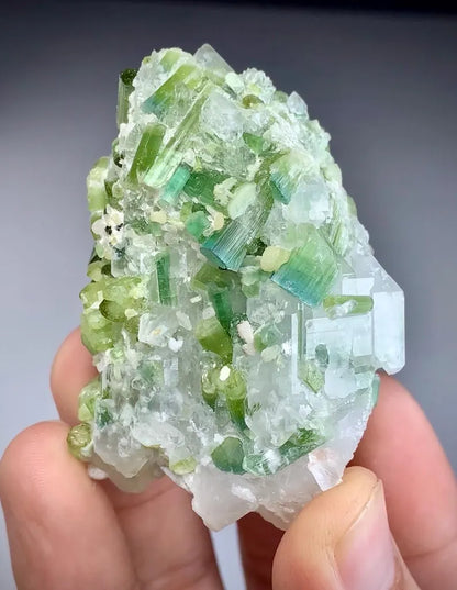 Blue Green Tourmaline  Crystals on Quartz from Afghanistan - 119 Gram