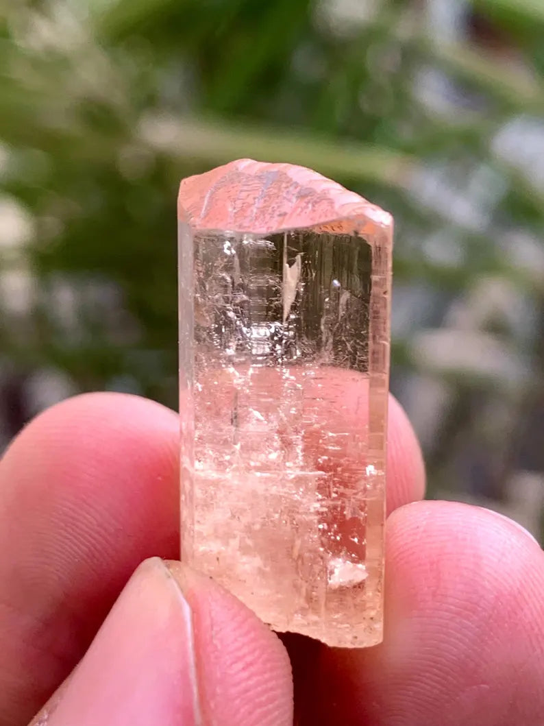 NAtural Imperial Katlang Topaz Crysstal from Pakistan - 53.00 Carats