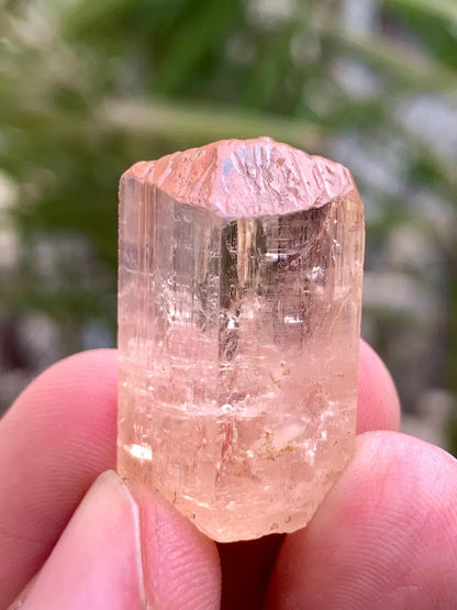 NAtural Imperial Katlang Topaz Crysstal from Pakistan - 53.00 Carats