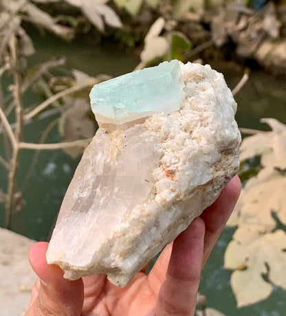 Bicolor Aquamorganite Crystal on QUartz from Pakistan - 366 Gram