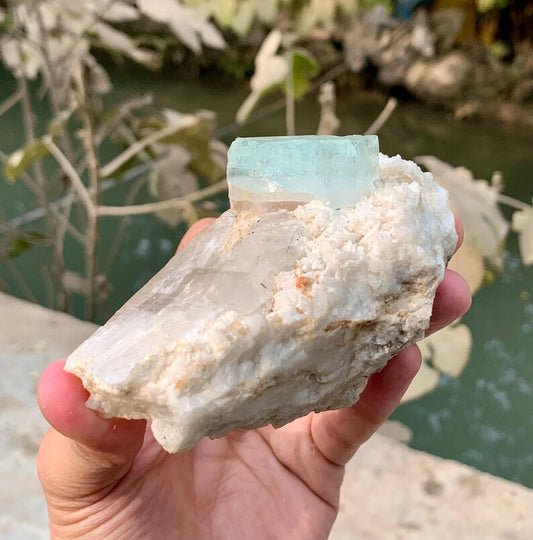 Bicolor Aquamorganite Crystal on QUartz from Pakistan - 366 Gram