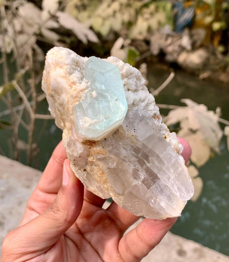 Bicolor Aquamorganite Crystal on QUartz from Pakistan - 366 Gram