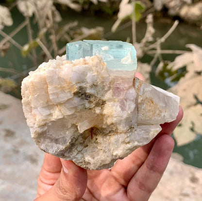 Bicolor Aquamorganite Crystal on QUartz from Pakistan - 366 Gram