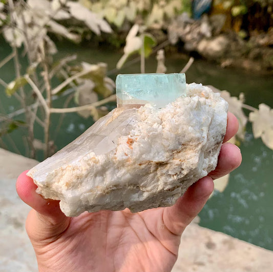 Bicolor Aquamorganite Crystal on QUartz from Pakistan - 366 Gram