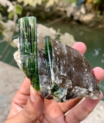 Green Tourmaline Crystals on Quartz from Afghanistan - 239 Gram
